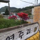 연주1리 마을회관 이미지