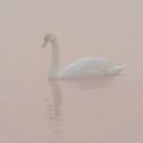 동그라미 이미지