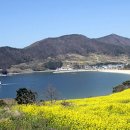 더 남해 이미지
