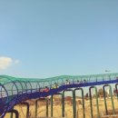 신나쥬