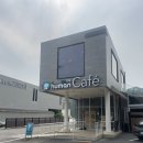 [양평 넓은 애견카페 추천] 듀먼카페 드라이브간 후기