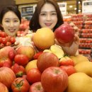 황금당 동행미디어 시대