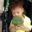 연제어린이집 이미지