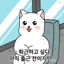 유성청구타운