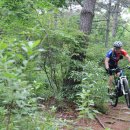 고동바위공원 이미지