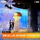 골드미디어