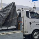 헤라헬스 이미지