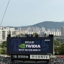 탄천야구장 | 두산베어스 젠슨황 시구 보고 왔어요 feat. 일요일 경기 주차 개오바 탄천주차장