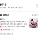 [수원/용인] 기념, 생일선물 추천 유니크 꽃다발_신상꽃집 꽃무니 내돈내산 후기