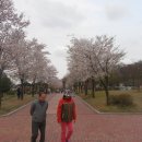 나비수산