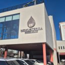 노부스테라 이미지