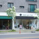 벨리즈 프로헤어 네이버블로그