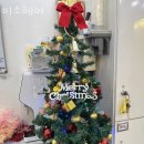 세븐일레븐안양점 | 안양 안양동 미용실 미소헤어 영업시간 가는길