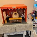 아따멍멍 이미지