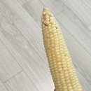 (주)포도 | 삼포 깐포도 400g 요즘 유행하는 인기템 먹어 본 후기