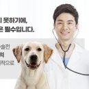진천동물병원 네이버블로그