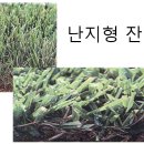 골프신지환 이미지