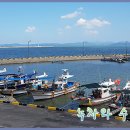 율포회센터 이미지