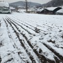 반월농장 이미지