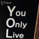 욜로헤어 이미지