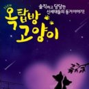 옥탑방 고양이 이미지