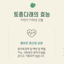 다래팜핑 이미지