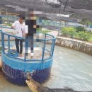 아란 농장 이미지