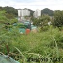 완산-80 이미지