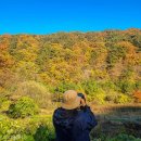 새말낚시터 | #14 캠린이의 캠핑일기 - 1028 가을분위기가 멋진 &#34;벳소캠핑장&#34; 잣나무 2번 사이트 솔직후기