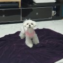 놀자놀자