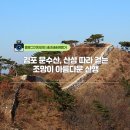 제96차 2020년03월 서산산봉산악회 산행안내 이미지