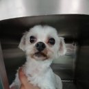 서울 튼튼 연합의원 이미지