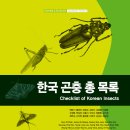 월간 ＜자연과 생태＞에서 한국 곤충 총 목록(Checklist of Korean Insects)을 발간하였습니다. 이미지