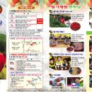 서해대교학습원