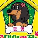 꽃댕이 멍집사 이미지