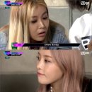 트루디독 이미지