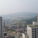 원경대림