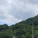 김천물소리생태숲_#2 이미지