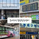 동대구역 복합환승센터 | 동대구역 버스터미널 복합환승센터 편의시설 신세계백화점 총정리