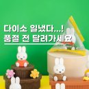 다빛필라테스 - 강남구 언주로172길 65 | 다이소 헤드 콜라보 및 미피 피규어 추천템 BEST 7