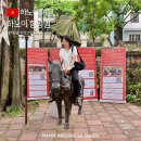 하노이완 | 베트남 하노이 항공권 가격 예약 제주항공 탑승 후기