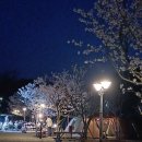 양양별밤캠핑장 이미지