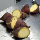 원선1로 | 김해원선요리제빵바리스타학원 : 김해 제과제빵기능사 학원펫 베이커리 수업 추천