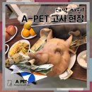 에이펫(A-PET) 이미지