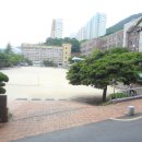 덕례초등학교 Daum카페