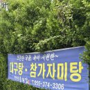 양산물회맛집 &#34;다다물회&#34; 지리 대구탕 먹어본 내돈내산 후기