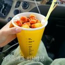 여주(인천) | 여주휴게소 인천방향 맛집 BHC콜팝, 떡볶이 닭꼬치 후기