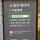 스쿼트게러지 이미지