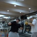 성연미트 이미지