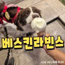 배스킨라빈스 포항장성점 이미지